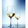 Schott Zwiesel Tritan Congresso12 Oz Wine Glass (Set of 6)