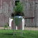 MuNiMulA Planter with Stand