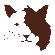 Avalisa Animal Face - Cat Stretched Wall Art