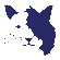 Avalisa Animal Face - Cat Stretched Wall Art