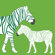 Avalisa Animal - Zebra Stretched Wall Art