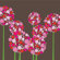 Avalisa Imagination - Allium Stretched Wall Art