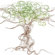 Avalisa Imagination - Branches Stretched Wall Art