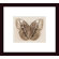 Barewalls Stichopthalma Louisa Wood Framed Art Print