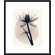 Barewalls Tropical Water Lily by Judith McMillan Metal Framed Art Print