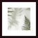 Barewalls Ferns No. 2 Wood Framed Art Print