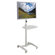 Balt Lumina 25" Flat Panel Stand in Brushed Metal