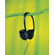 Audio-Technica Lightweight Open-Back Dynamic Stereo Headphones