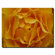 Trademark Global Hypnotic Yellow Rose by Kurt Shaffer, Canvas Art - 35" x 47"
