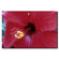 Trademark Global Into The Hibiscus by Kurt Shaffer, Canvas Art - 24" x 32"