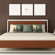 DENY Designs Anderson Design Group Chicago Throw Pillow