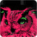 DENY Designs Romi Vega Pink Owl Wall Art