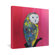 DENY Designs Clara Nilles Owl On Lipstick Gallery Wrapped Canvas