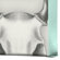 DENY Designs Wesley Bird Skull Gallery Wrapped Canvas