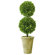 Mills Floral Box Double Ball Topiary