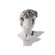 Amedeo Design ResinStone David Bust Statue