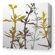 Inhabit Morning Glory Wildflower Stretched Wall Art in Silver and Olive