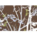 Inhabit Ailanthus Slat Hanging Panel in Chocolate