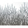 Inhabit Field Grass Slat Hanging Panel in Artic Sky