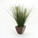 Distinctive Designs Mixed Silk Grasses in Square Planter