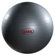 Body By Jake Exercise Ball