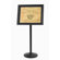 AARCO Single Pedestal Broadcaster