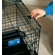 Midwest Homes For Pets Life Stages Fold & Carry Double-Door Dog Crate