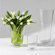 Global Views Clear View Vase