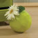 Global Views Nugget Bud Vase