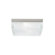 Tech Lighting Boxie Flush Mount