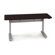 Anthro Ergonomic Elevate II Electric Lift Table