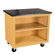 Shain Mobile Demo Cabinet