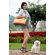 Teafco Argo Pet Avion Medium Airline Approved Carrier in Tango Orange
