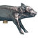 Areaware Bank in Form of Pig