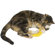 Imperial Cat Cat 'n Around Banana Refillable Catnip Toy