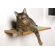 Square Cat Habitat Buddha Wall Perch