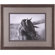 Art Effects Fierce Grace Framed Artwork
