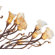ET2 Evolution Floor Lamp in Bronze