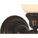 Dolan Designs Brockport  Vanity Light in Royal Bronze