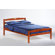 Night & Day Furniture Zest Sesame Bed in Cherry