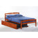 Night & Day Furniture Zest Sesame Bed in Cherry