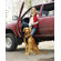 Kurgo Tru-Fit Smart Dog Harness in Black