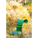 Moroso Sunny Chair