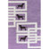 Chandra Rugs Avalisa Dog Novelty Rug