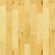Shaw Floors Epic Hampshire 5" Engineered Maple in Natural