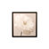 Graham & Brown White Rose Framed Printed Canvas Art - 20" X 20"