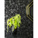 Graham & Brown Barbara Hulanicki Flock Skulls Wallpaper in Black