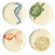 Thomas Paul Sea Life Dessert Plate (Set of 4)