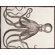 Thomas Paul Octopus Tea Towel