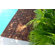 Infinita Corporation Le Click Flex Teak Interlocking Decking Tiles in Oiled Finish (Set of 10)